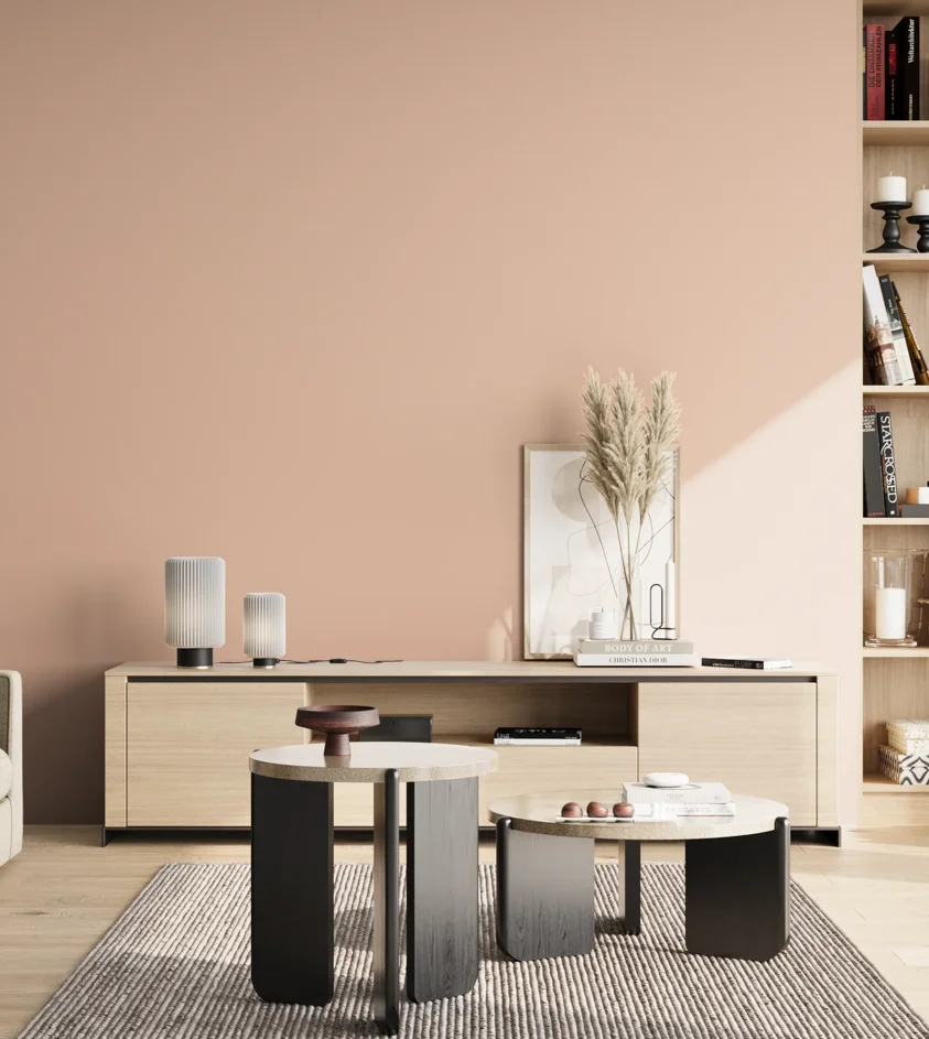 P10_SNIEZKA_salon_02_poludnie_GREY_S1015-Y70R