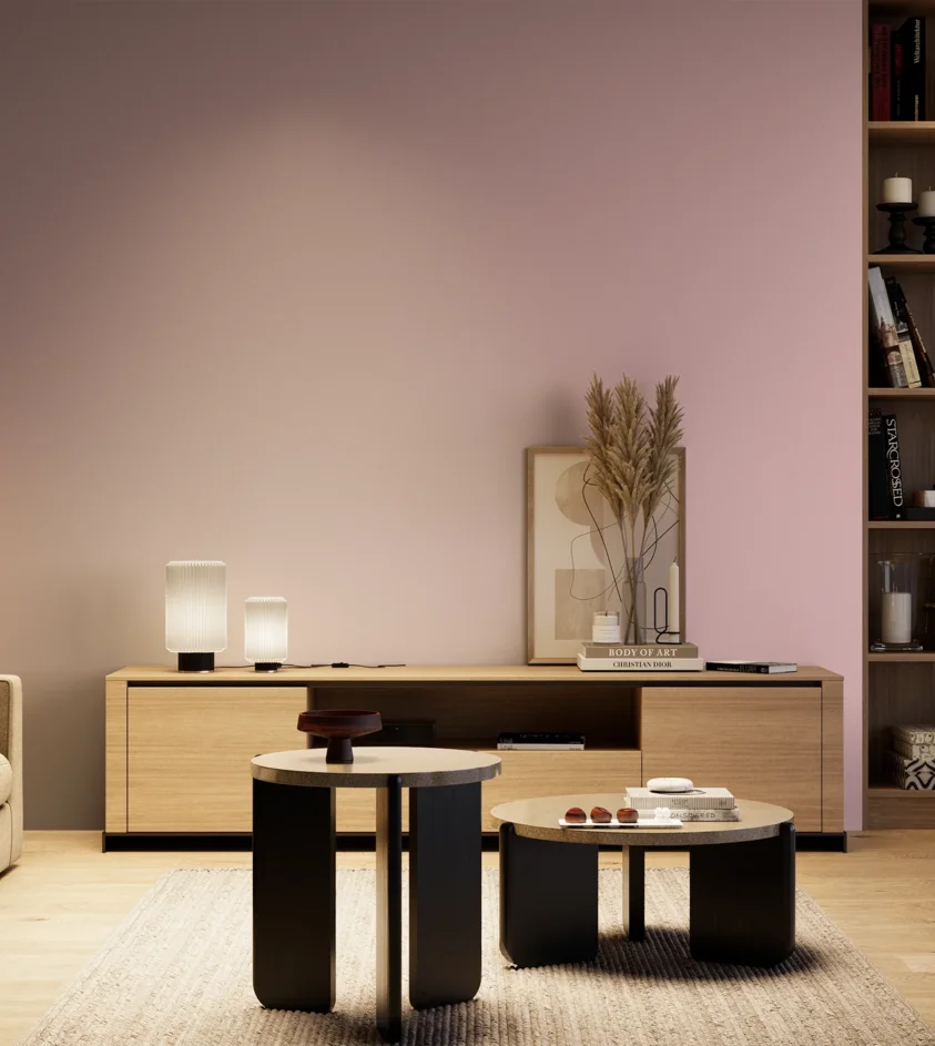 P10_SNIEZKA_salon_04_cieple_GREY_S1020-R20B