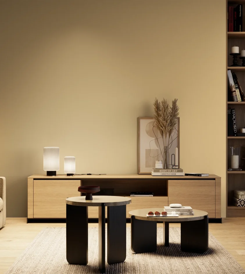 P10_SNIEZKA_salon_04_cieple_GREY_S1020-Y20R