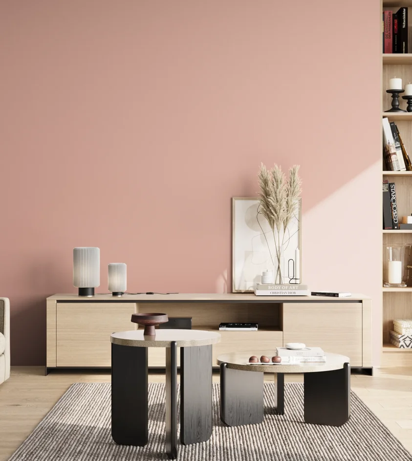 P10_SNIEZKA_salon_02_poludnie_GREY_S1020-Y90R