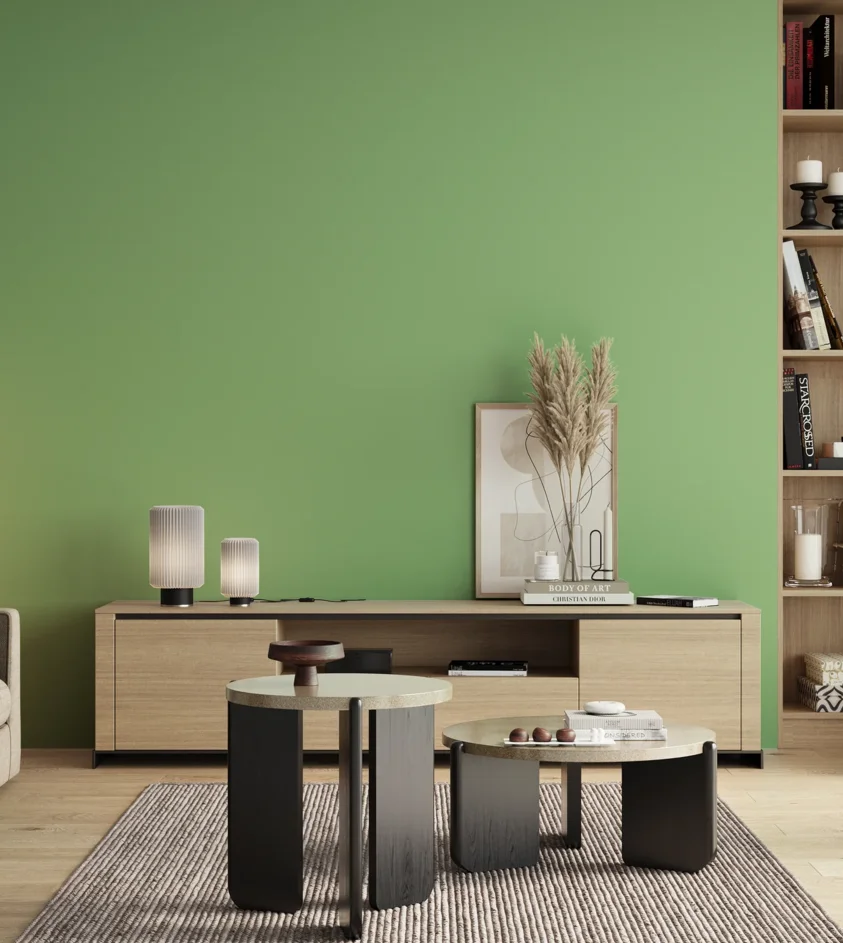 P10_SNIEZKA_salon_00_neutral_GREY_S1040-G20Y