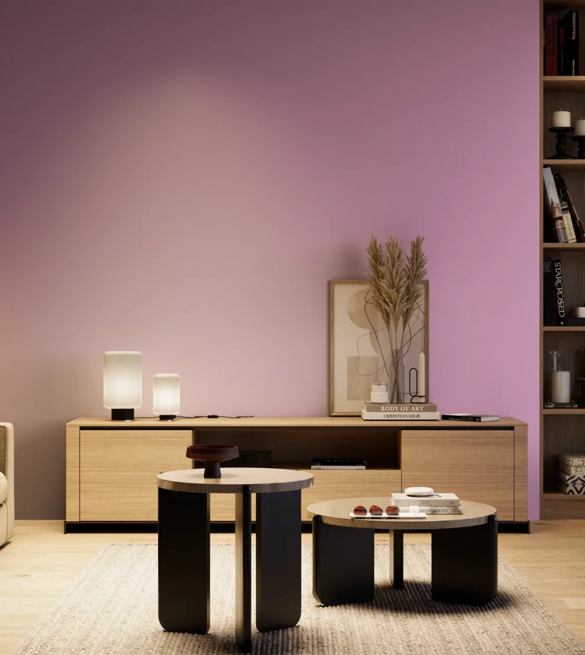 P10_SNIEZKA_salon_04_cieple_GREY_S1040-R40B
