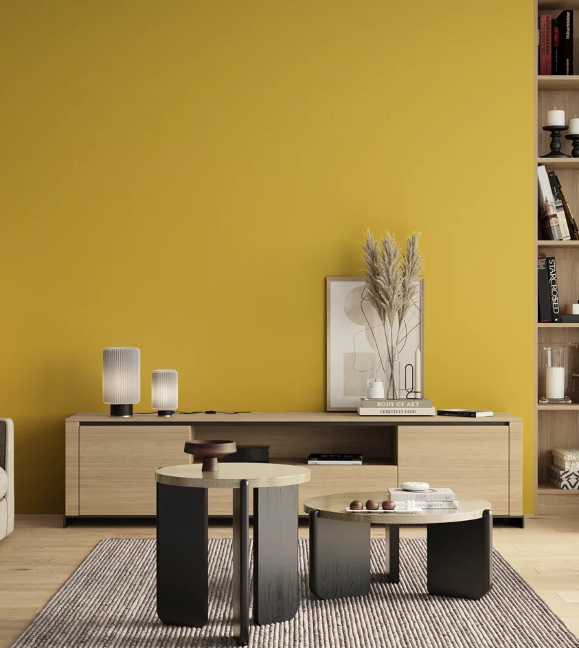 P10_SNIEZKA_salon_00_neutral_GREY_S1060-Y