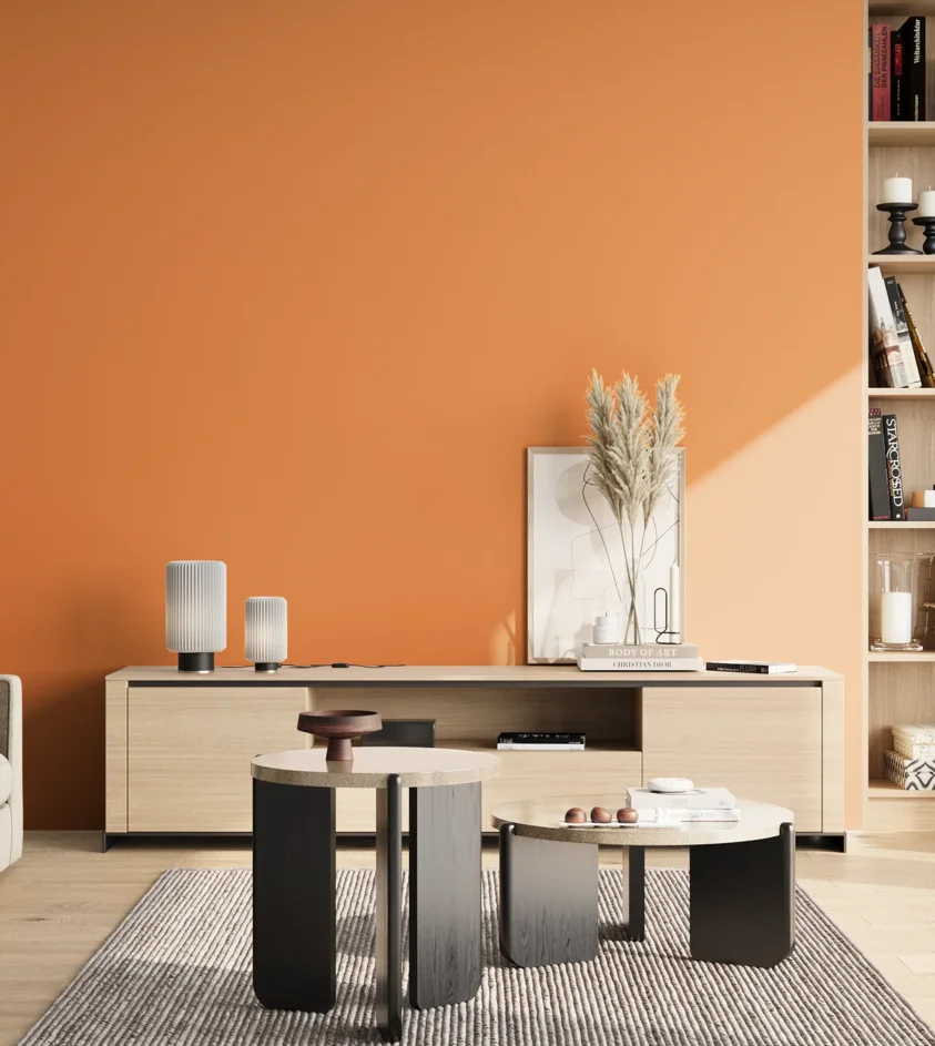 P10_SNIEZKA_salon_02_poludnie_GREY_S1060-Y40R