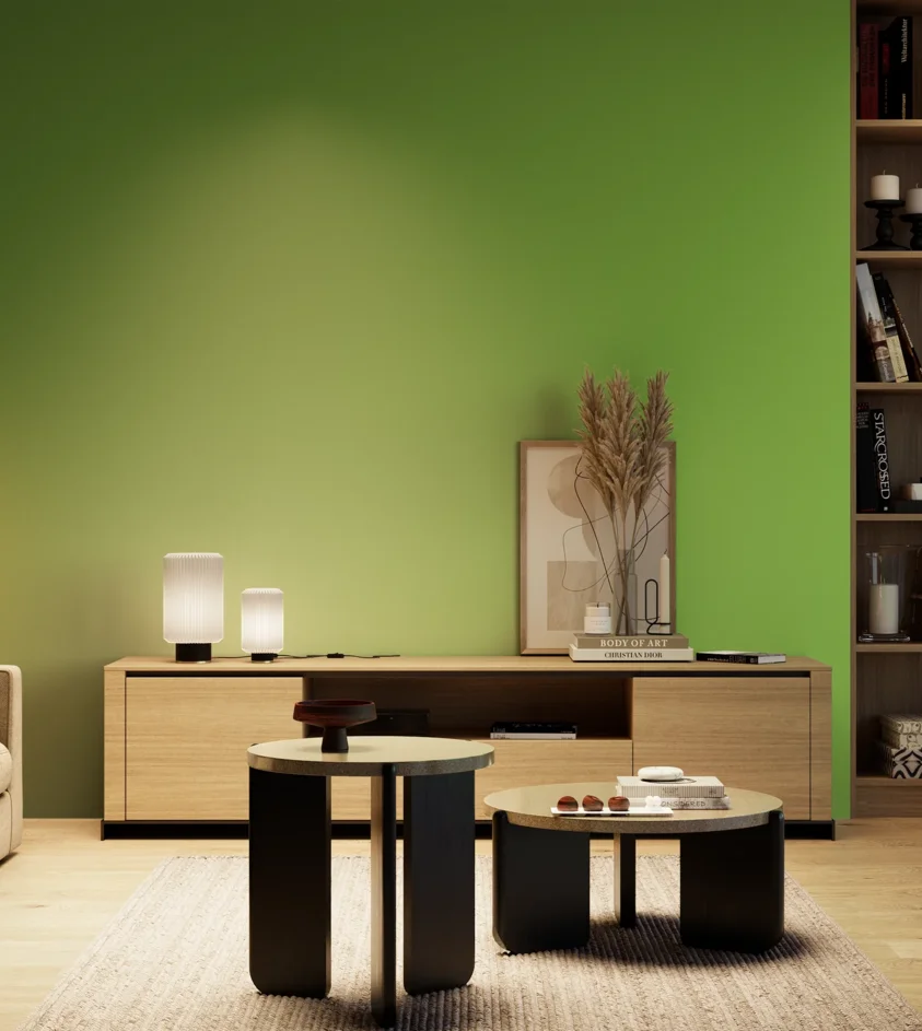 P10_SNIEZKA_salon_04_cieple_GREY_S1070-G30Y