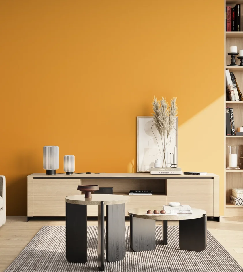 P10_SNIEZKA_salon_02_poludnie_GREY_S1070-Y20R