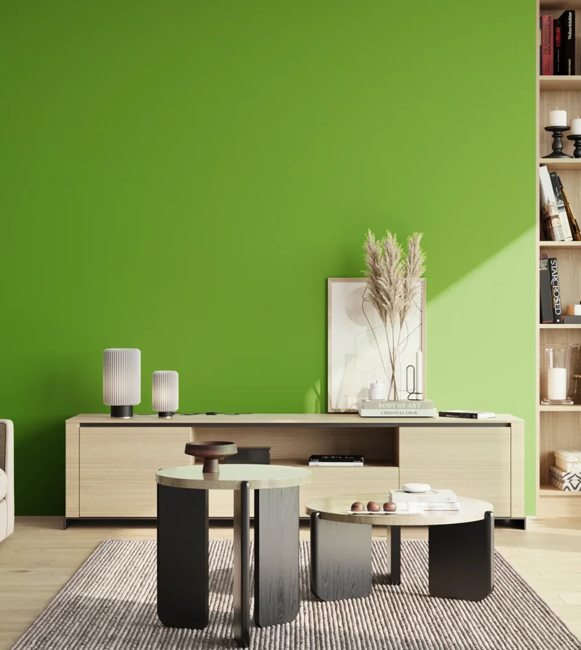 P10_SNIEZKA_salon_02_poludnie_GREY_S1080-G30Y