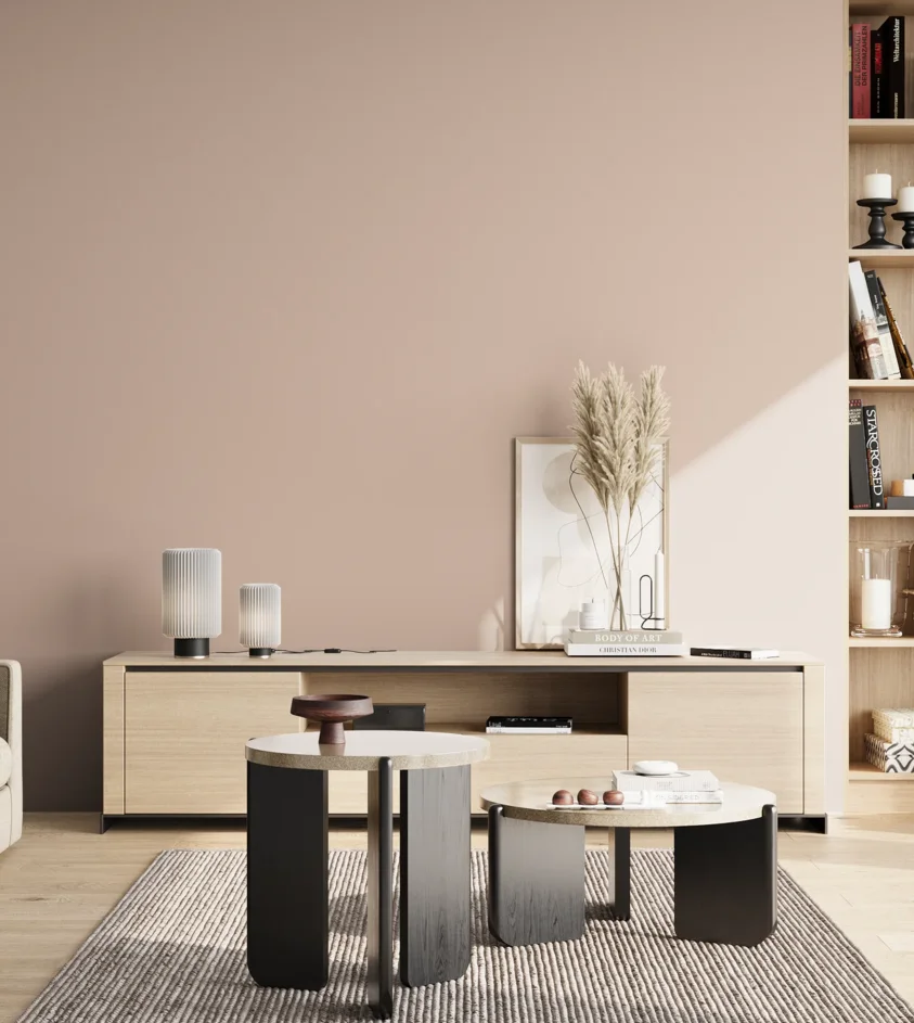 P10_SNIEZKA_salon_02_poludnie_GREY_S1510-Y80R