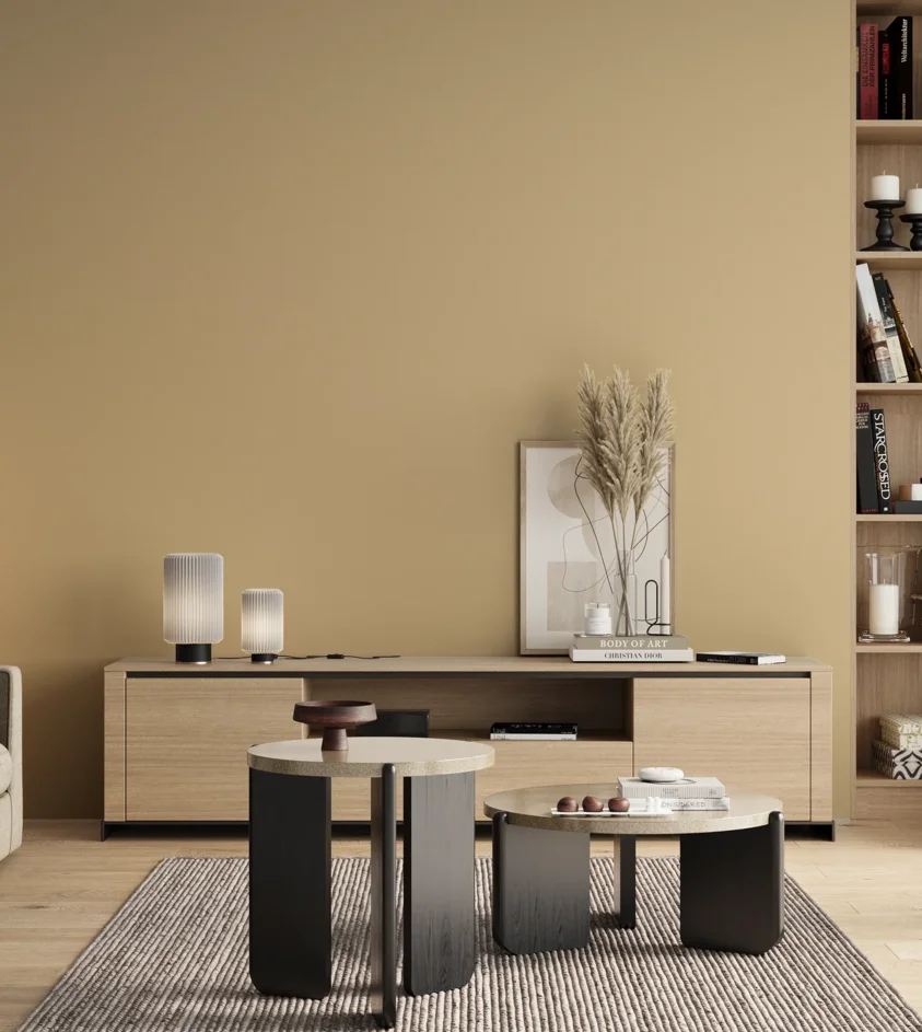 P10_SNIEZKA_salon_00_neutral_GREY_S1515-Y20R