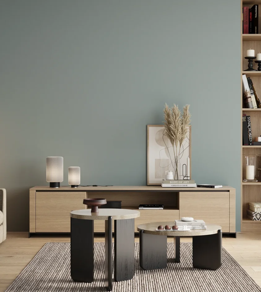 P10_SNIEZKA_salon_00_neutral_GREY_S2010-B30G