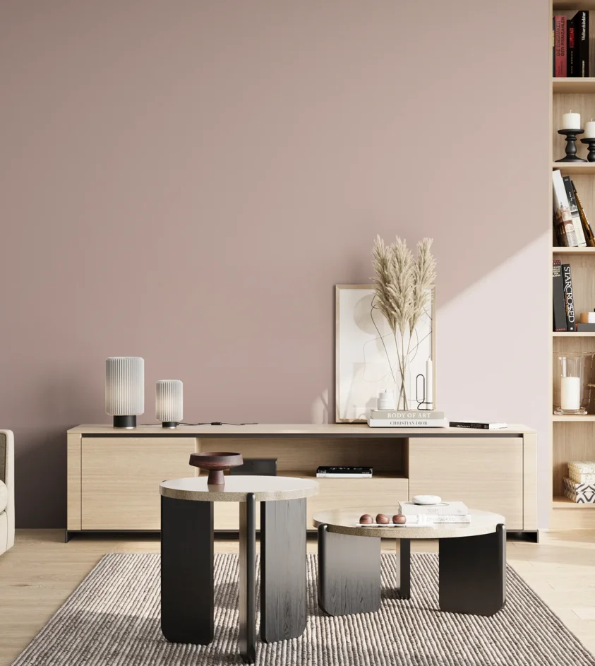 P10_SNIEZKA_salon_02_poludnie_GREY_S2010-R