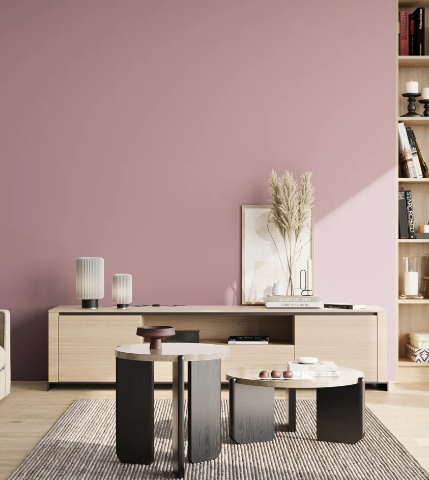 P10_SNIEZKA_salon_02_poludnie_GREY_S2020-R20B