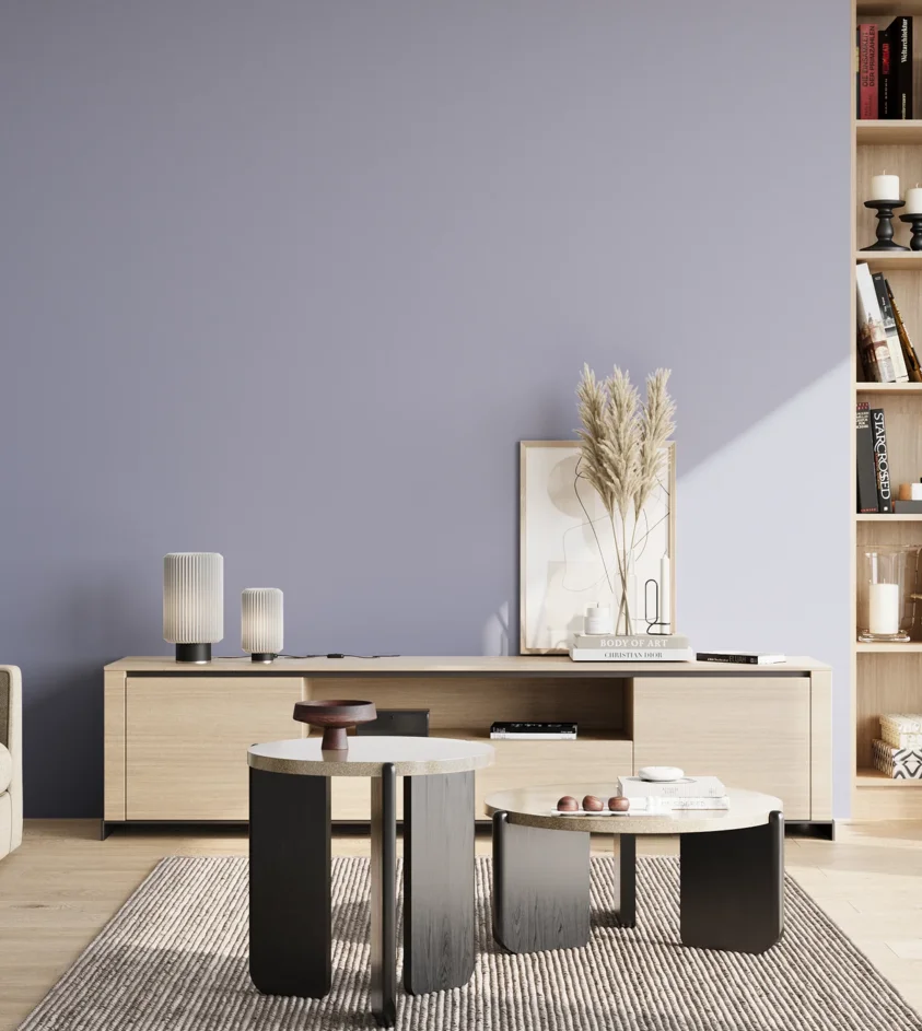 P10_SNIEZKA_salon_02_poludnie_GREY_S2020-R70B