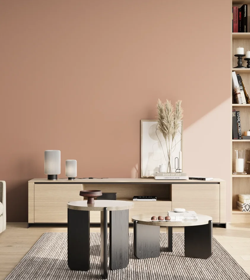P10_SNIEZKA_salon_02_poludnie_GREY_S2020-Y70R