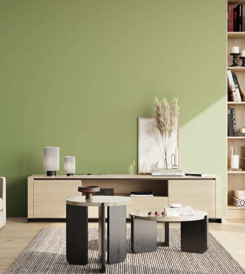 P10_SNIEZKA_salon_02_poludnie_GREY_S2030-G40Y