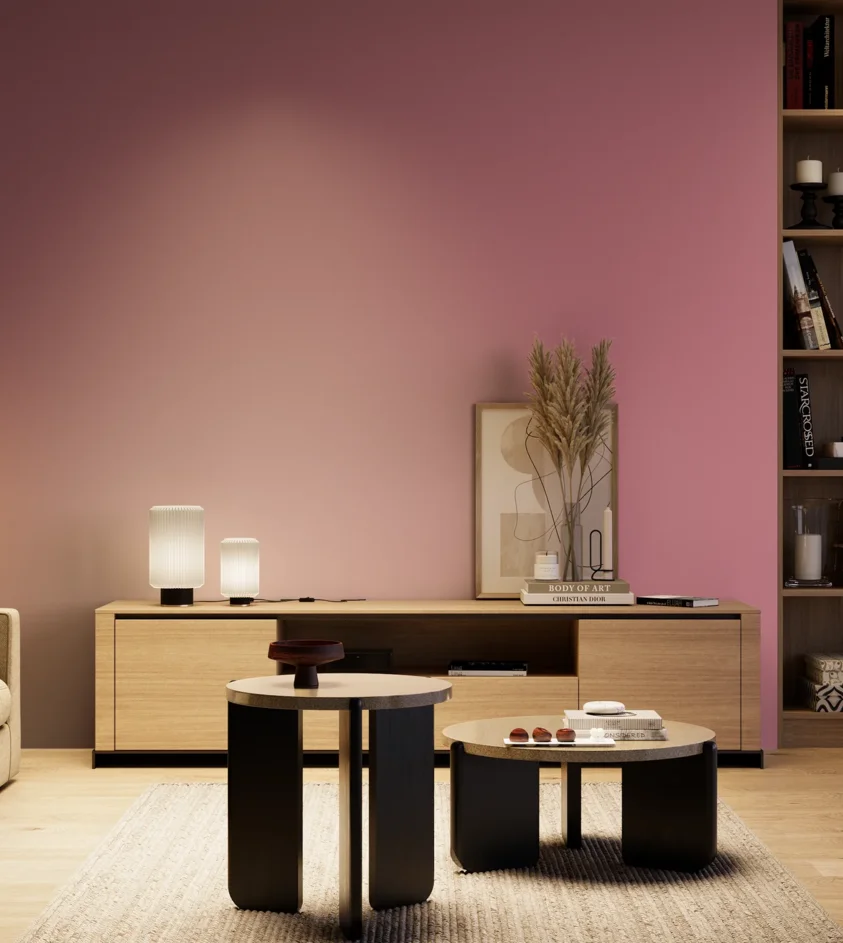 P10_SNIEZKA_salon_04_cieple_GREY_S2040-R20B