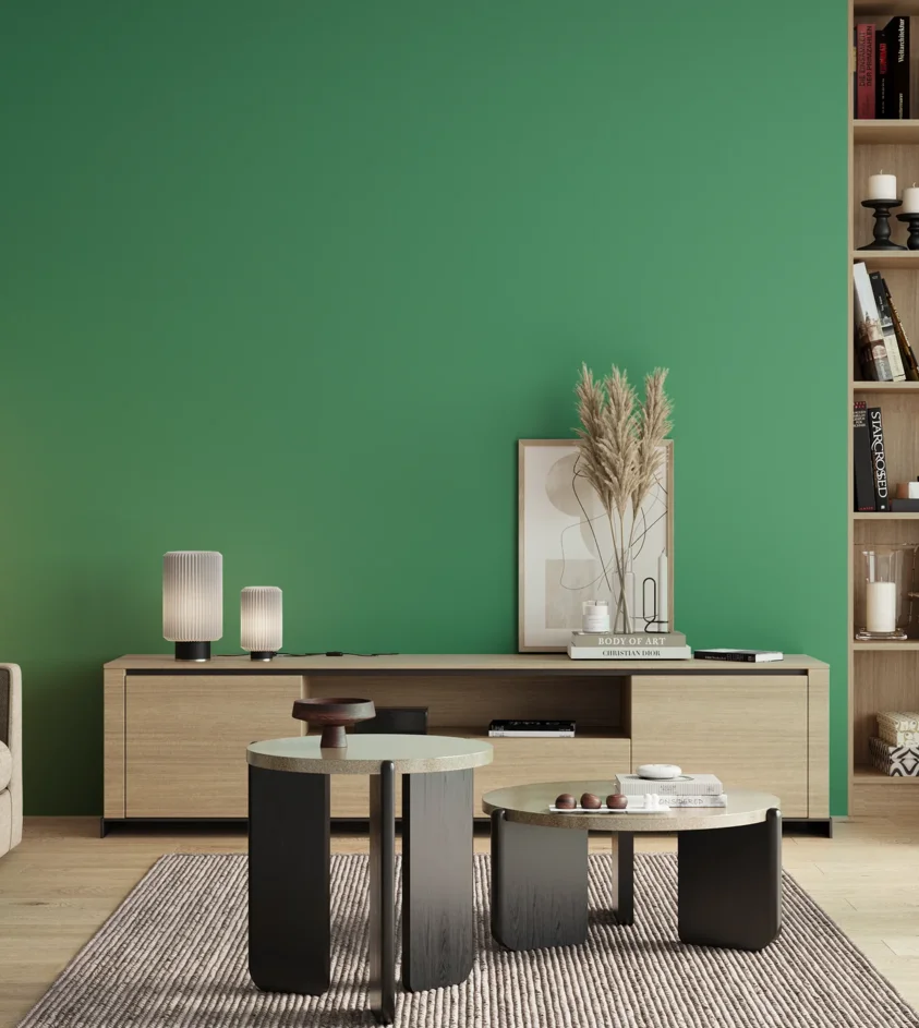P10_SNIEZKA_salon_00_neutral_GREY_S2050-G