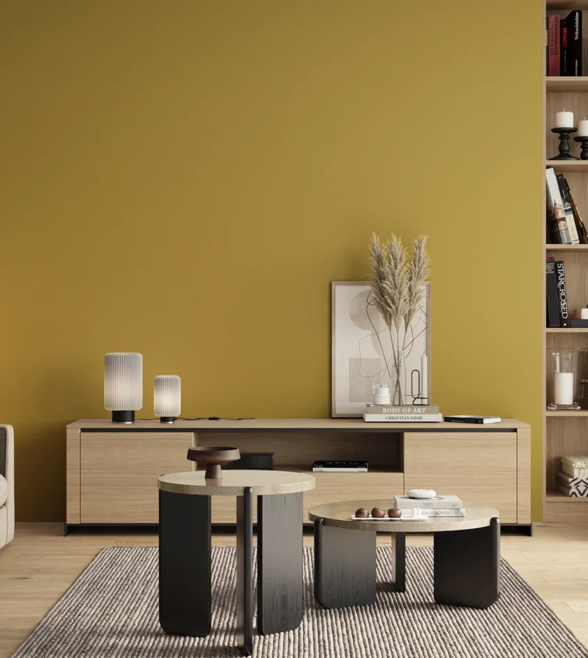 P10_SNIEZKA_salon_00_neutral_GREY_S2050-Y