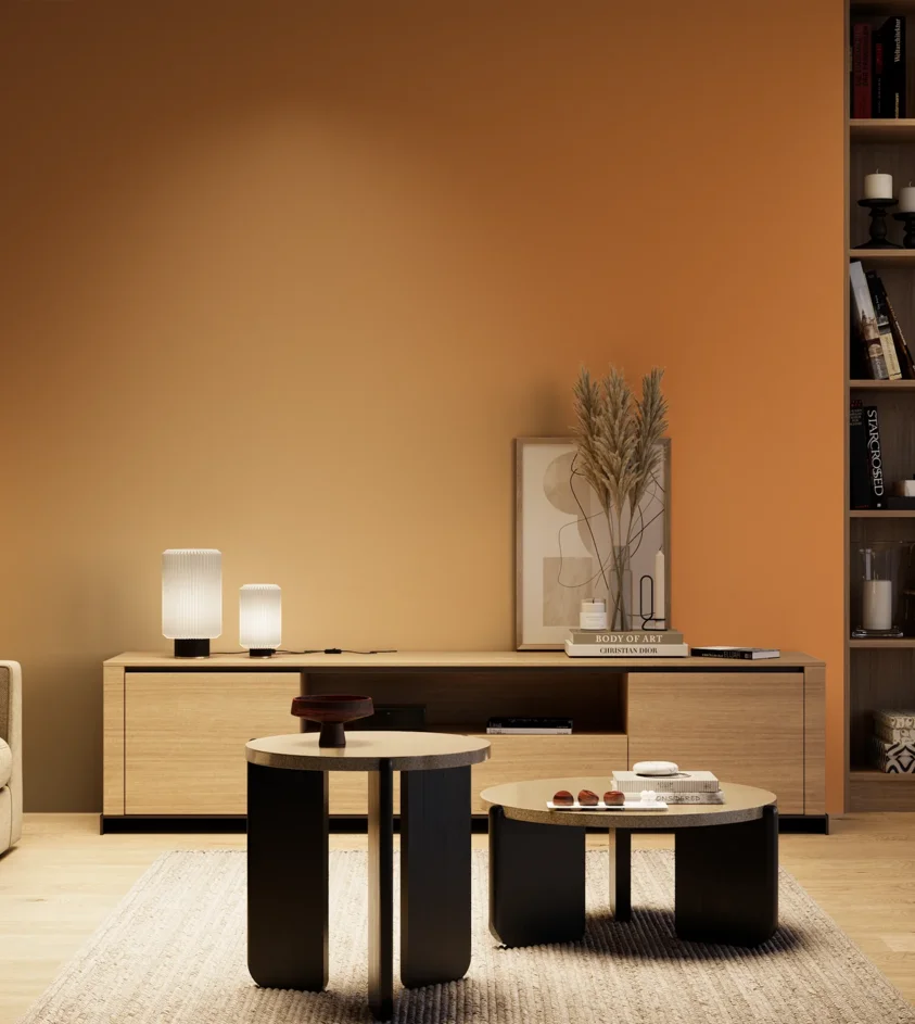 P10_SNIEZKA_salon_04_cieple_GREY_S2060-Y40R