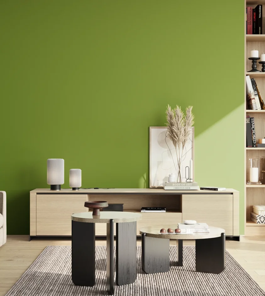 P10_SNIEZKA_salon_02_poludnie_GREY_S2070-G40Y
