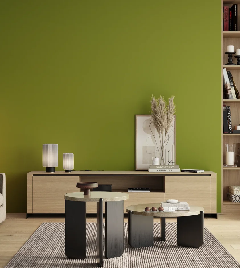 P10_SNIEZKA_salon_00_neutral_GREY_S2070-G50Y