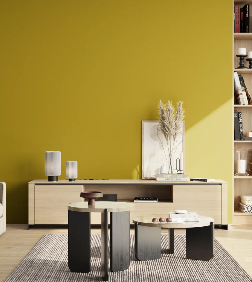 P10_SNIEZKA_salon_02_poludnie_GREY_S2070-G90Y