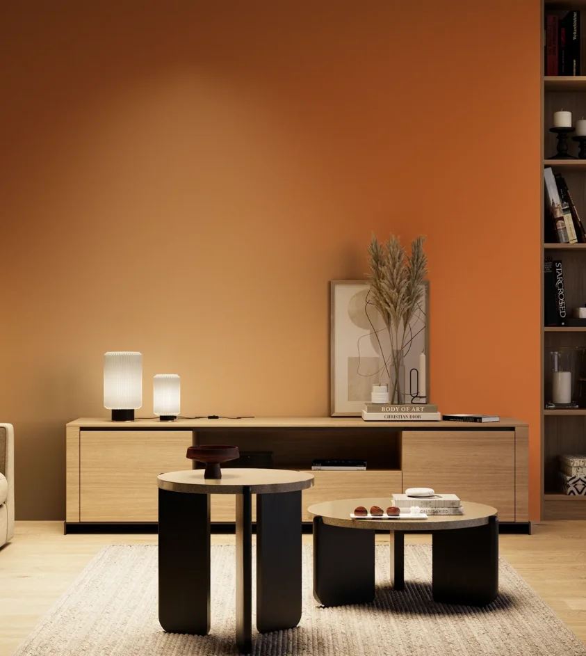 P10_SNIEZKA_salon_04_cieple_GREY_S2070-Y50R