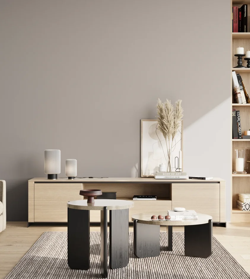 P10_SNIEZKA_salon_02_poludnie_GREY_S2502-R
