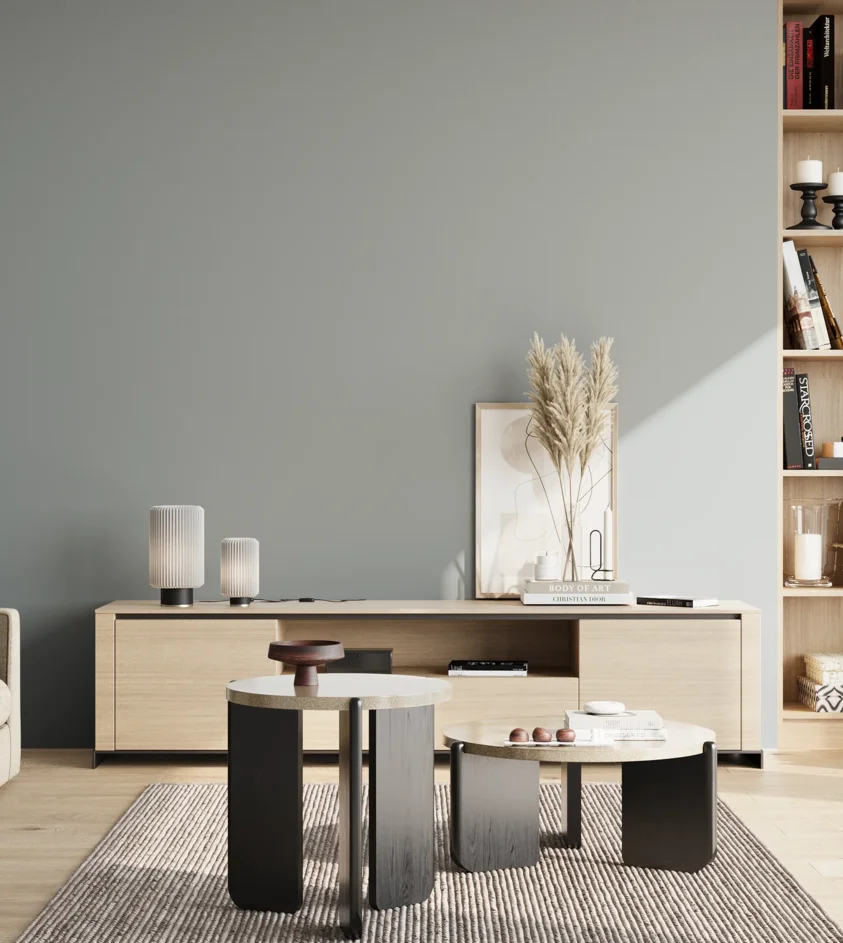 P10_SNIEZKA_salon_02_poludnie_GREY_S3005-B20G