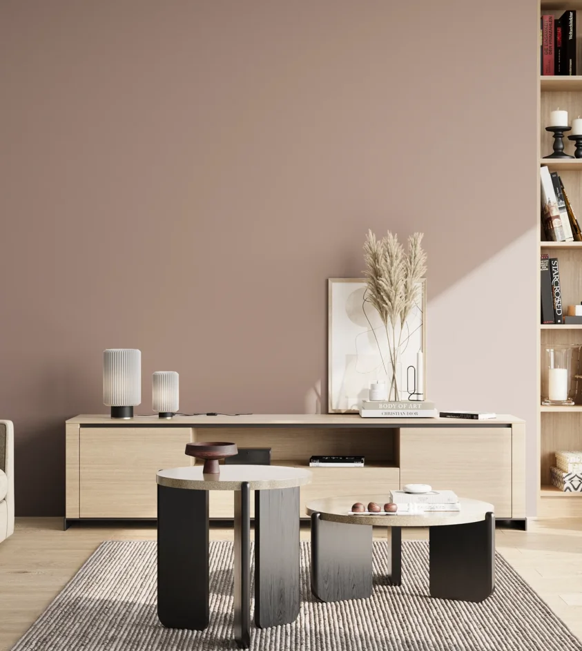 P10_SNIEZKA_salon_02_poludnie_GREY_S3010-Y80R