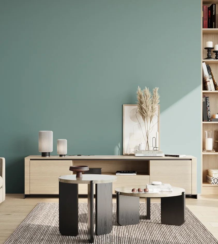 P10_SNIEZKA_salon_02_poludnie_GREY_S3020-B40G