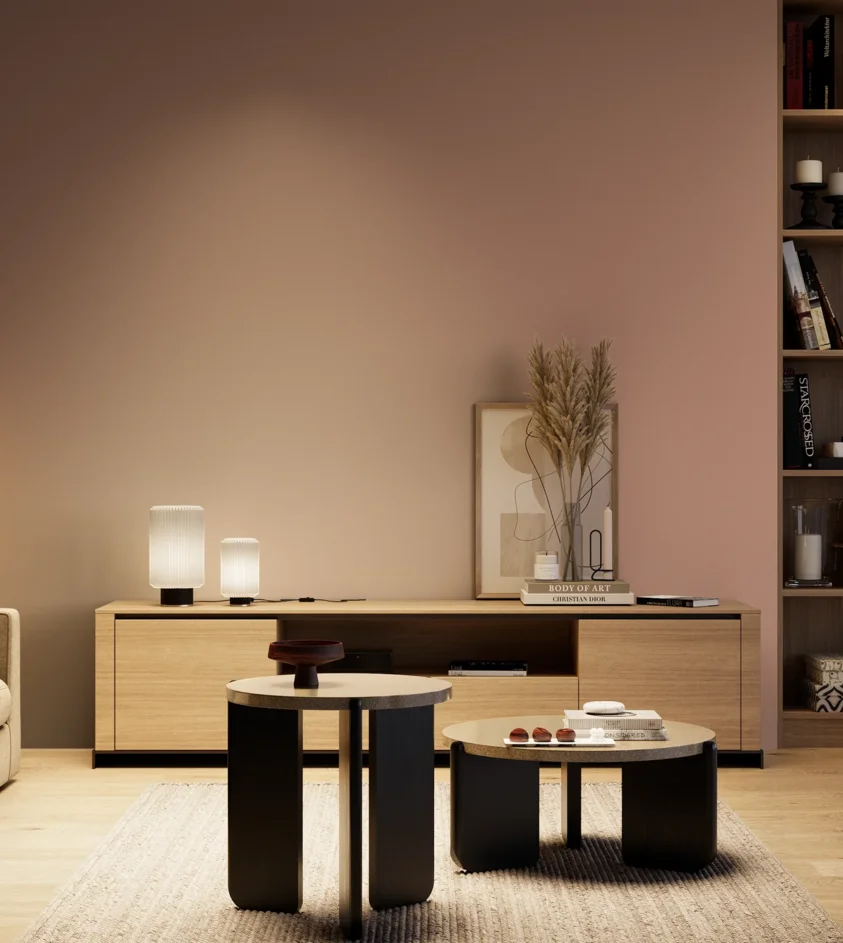 P10_SNIEZKA_salon_04_cieple_GREY_S3020-Y80R