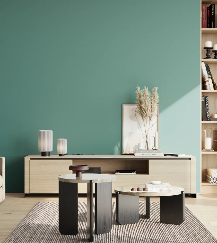 P10_SNIEZKA_salon_02_poludnie_GREY_S3030-B60G