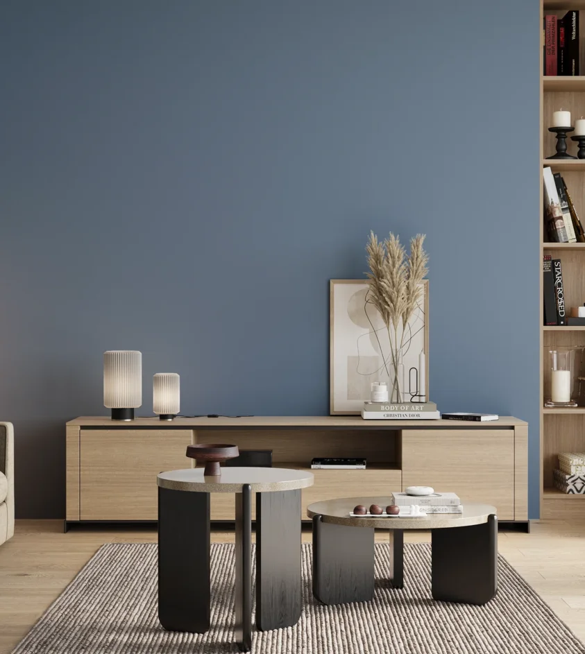 P10_SNIEZKA_salon_00_neutral_GREY_S3030-R90B