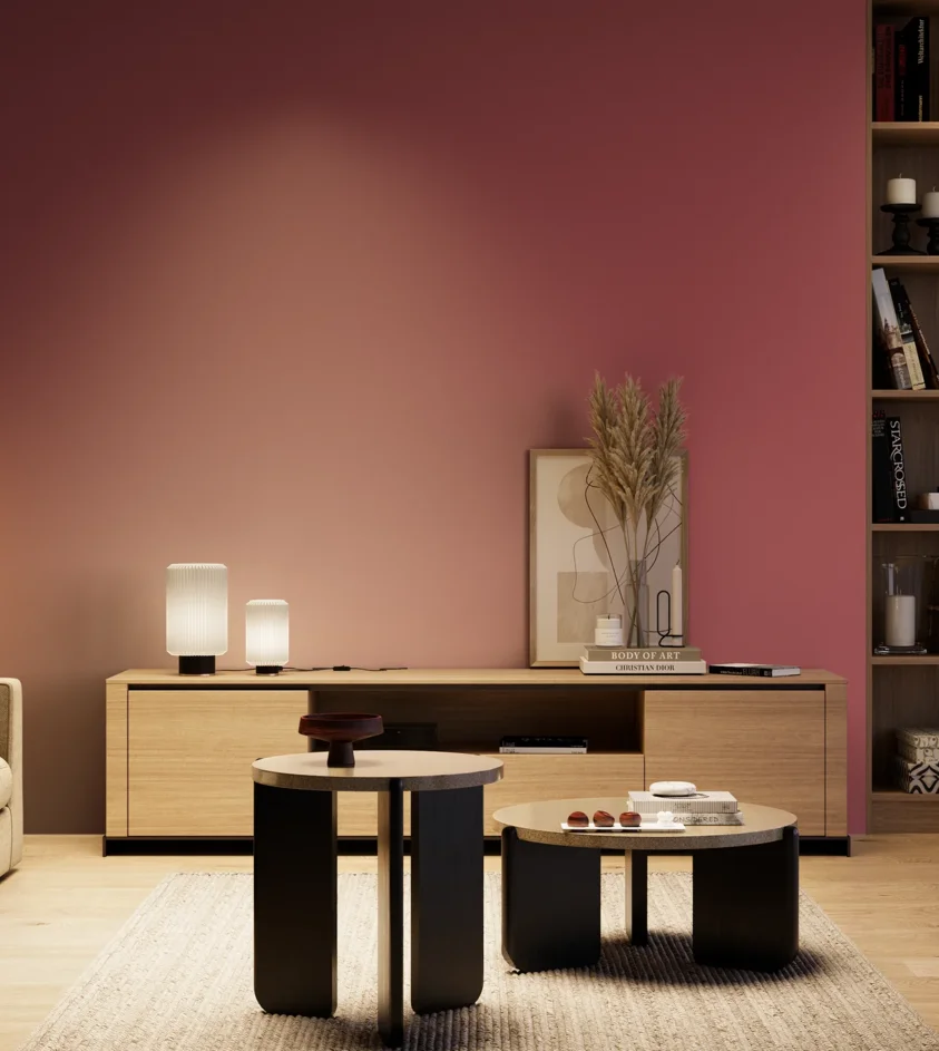 P10_SNIEZKA_salon_04_cieple_GREY_S3050-R10B