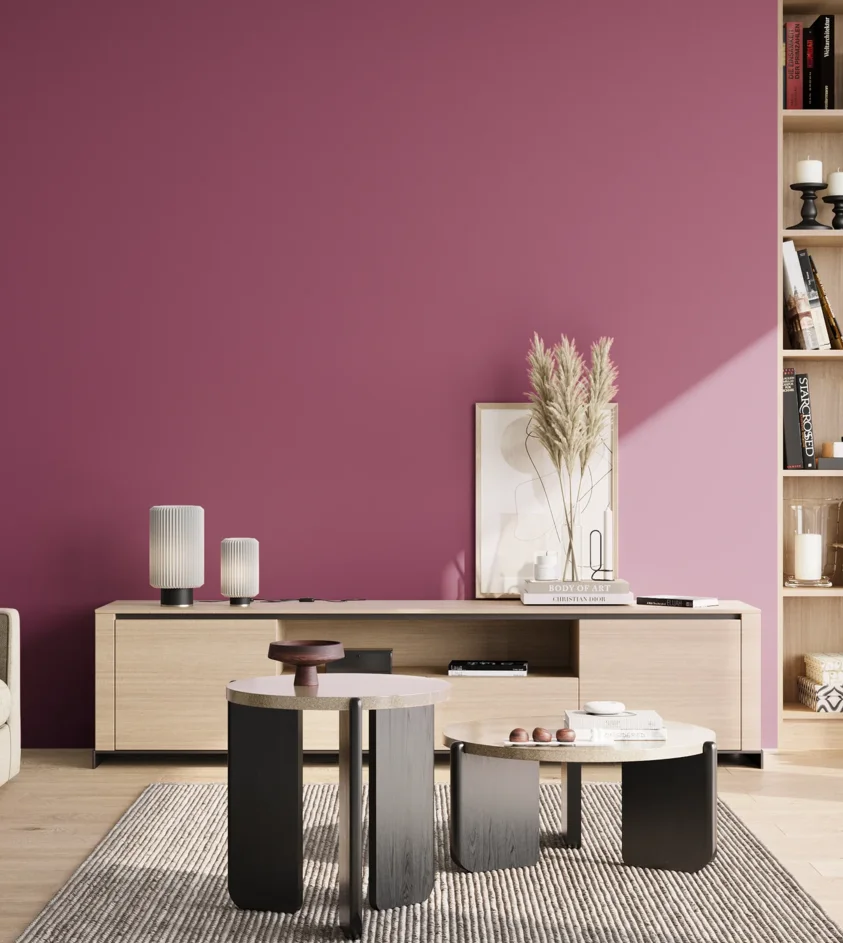 P10_SNIEZKA_salon_02_poludnie_GREY_S3050-R30B