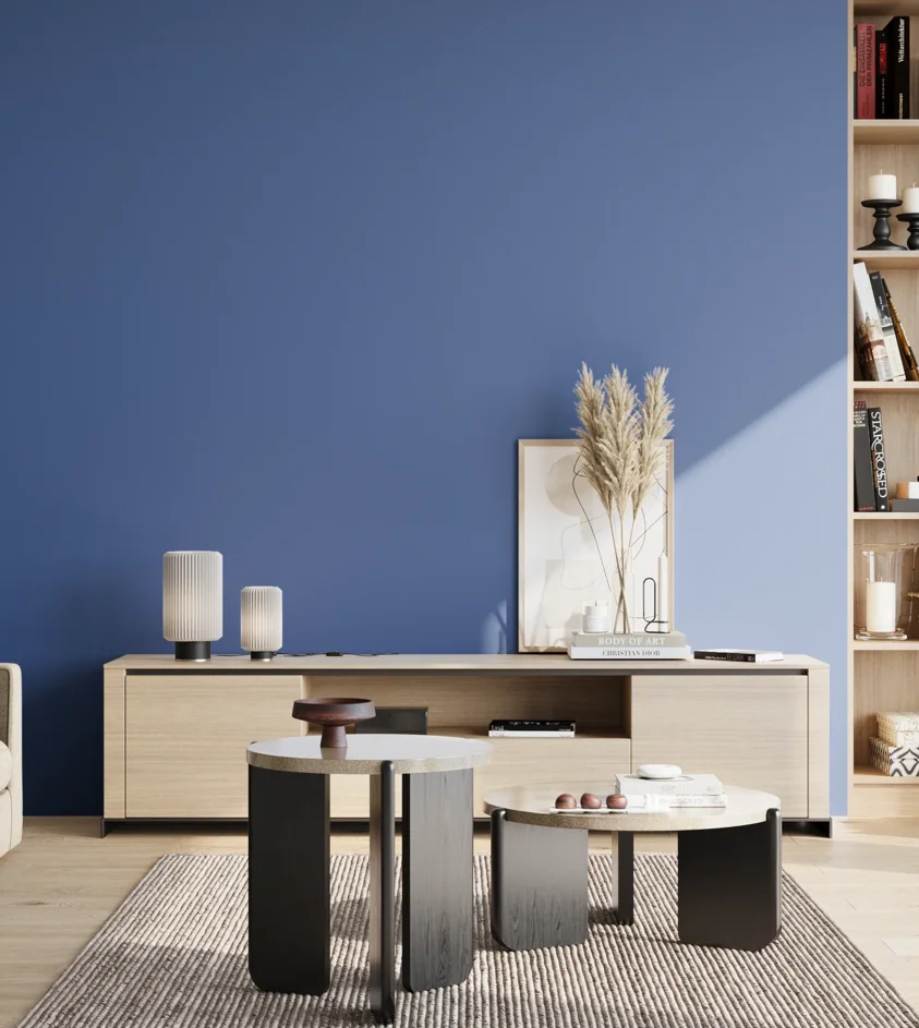 P10_SNIEZKA_salon_02_poludnie_GREY_S3050-R80B