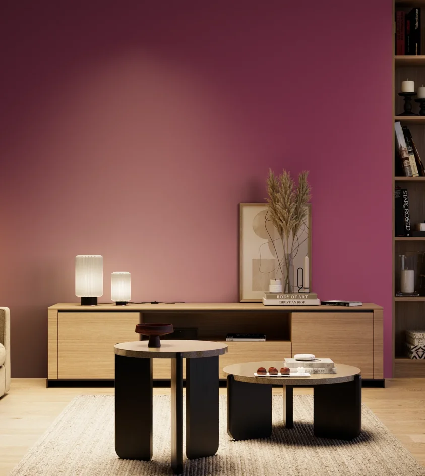 P10_SNIEZKA_salon_04_cieple_GREY_S3055-R30B