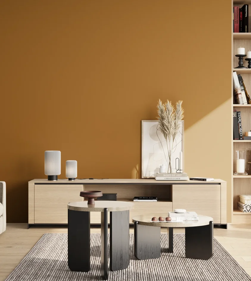 P10_SNIEZKA_salon_02_poludnie_GREY_S3560-Y20R