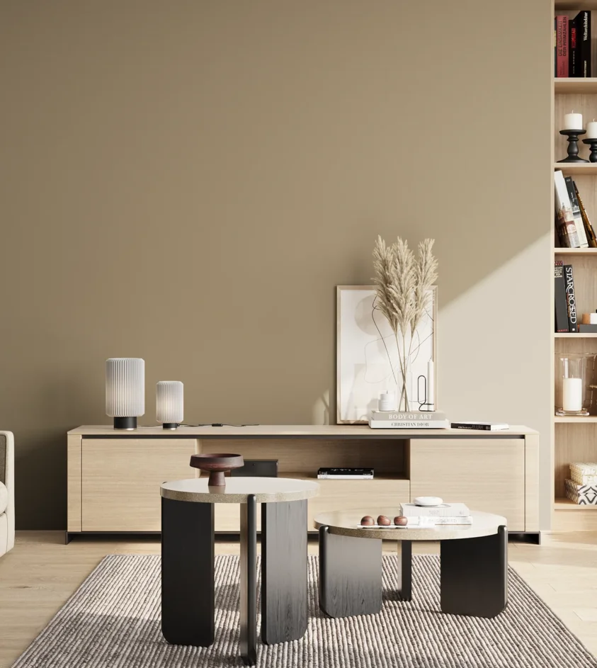 P10_SNIEZKA_salon_02_poludnie_GREY_S4010-Y10R