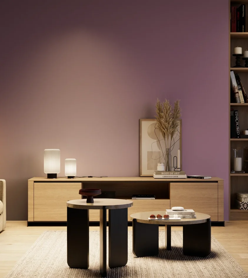 P10_SNIEZKA_salon_04_cieple_GREY_S4030-R40B