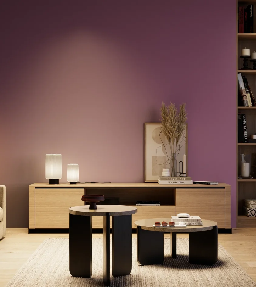 P10_SNIEZKA_salon_04_cieple_GREY_S4040-R40B