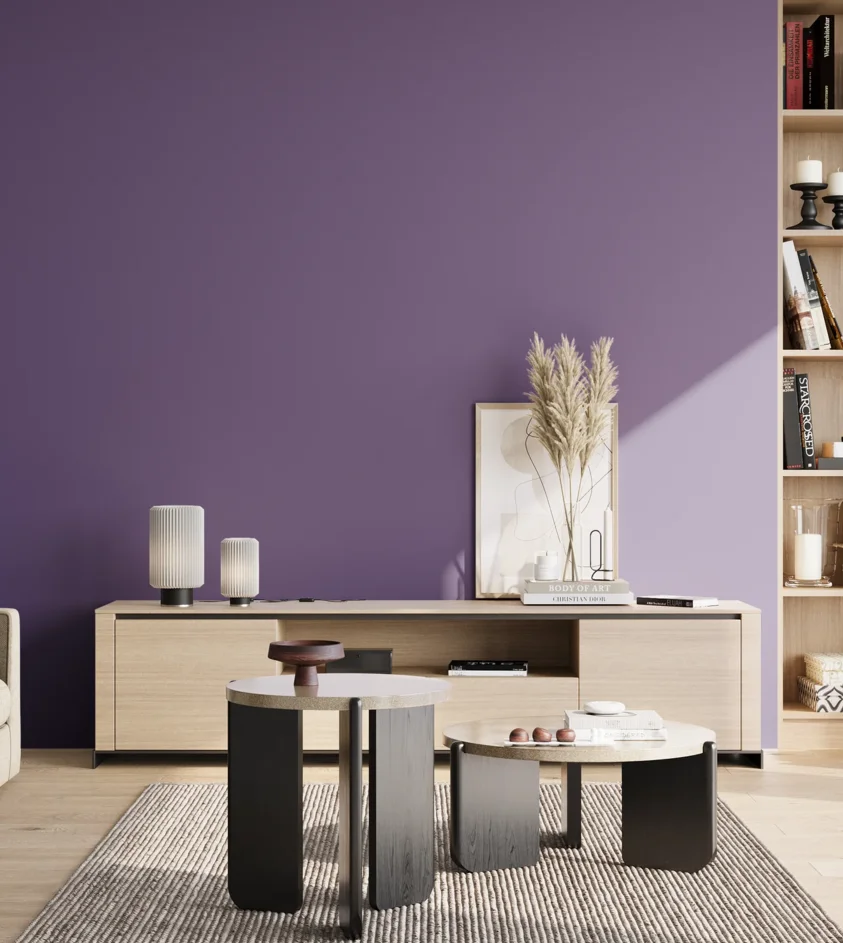 P10_SNIEZKA_salon_02_poludnie_GREY_S4040-R60B