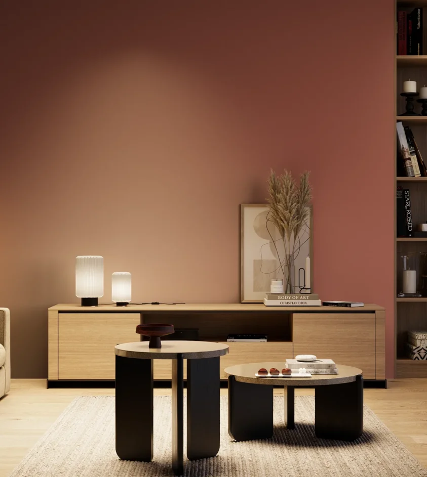 P10_SNIEZKA_salon_04_cieple_GREY_S4040-Y90R