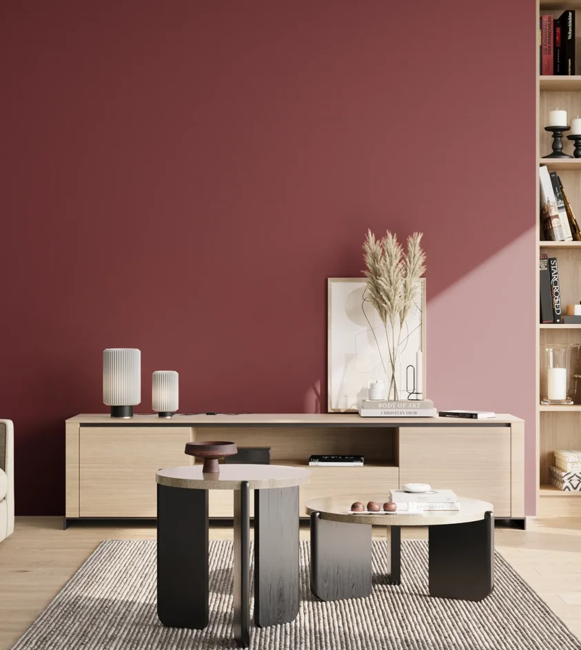 P10_SNIEZKA_salon_02_poludnie_GREY_S4050-R10B