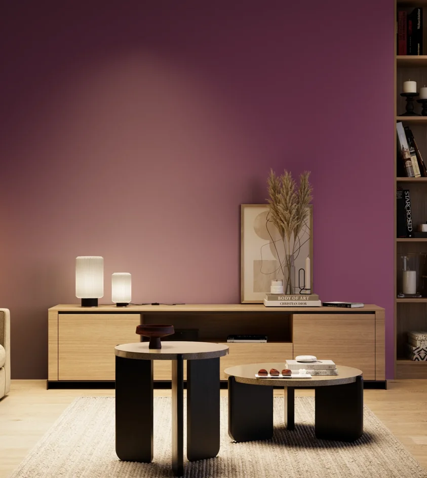 P10_SNIEZKA_salon_04_cieple_GREY_S4050-R40B
