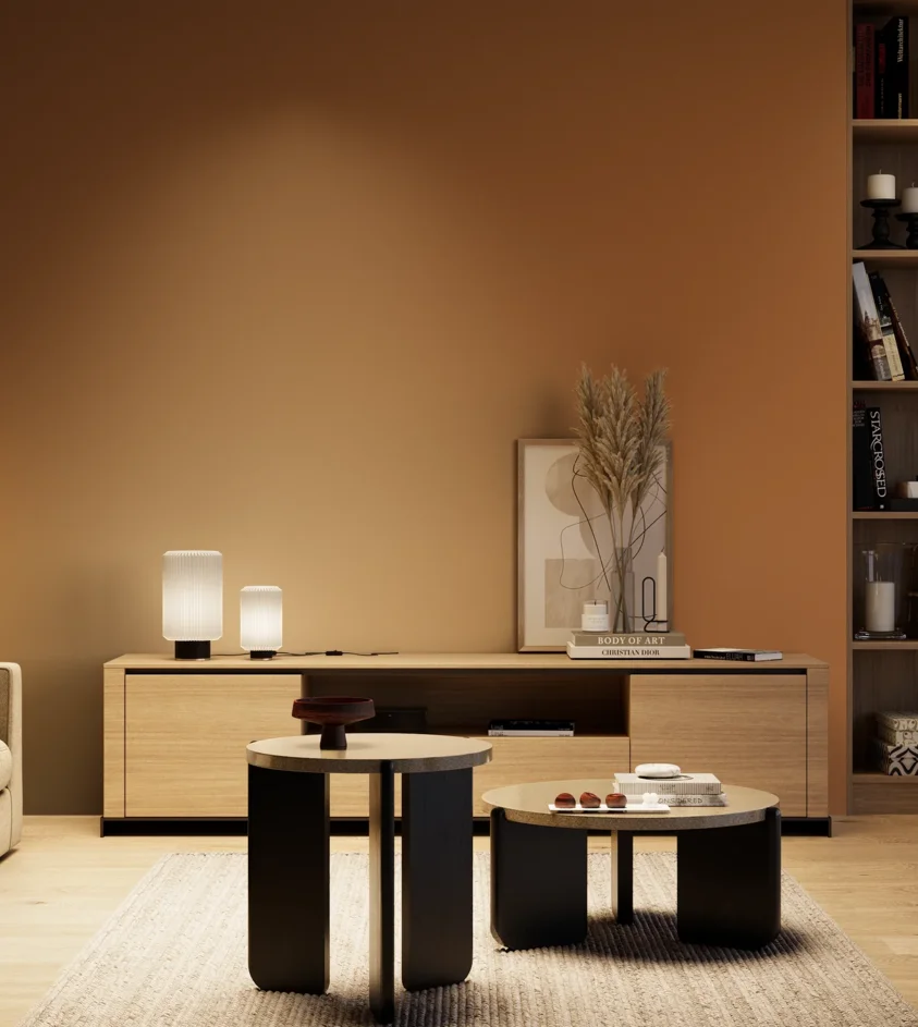 P10_SNIEZKA_salon_04_cieple_GREY_S4050-Y40R