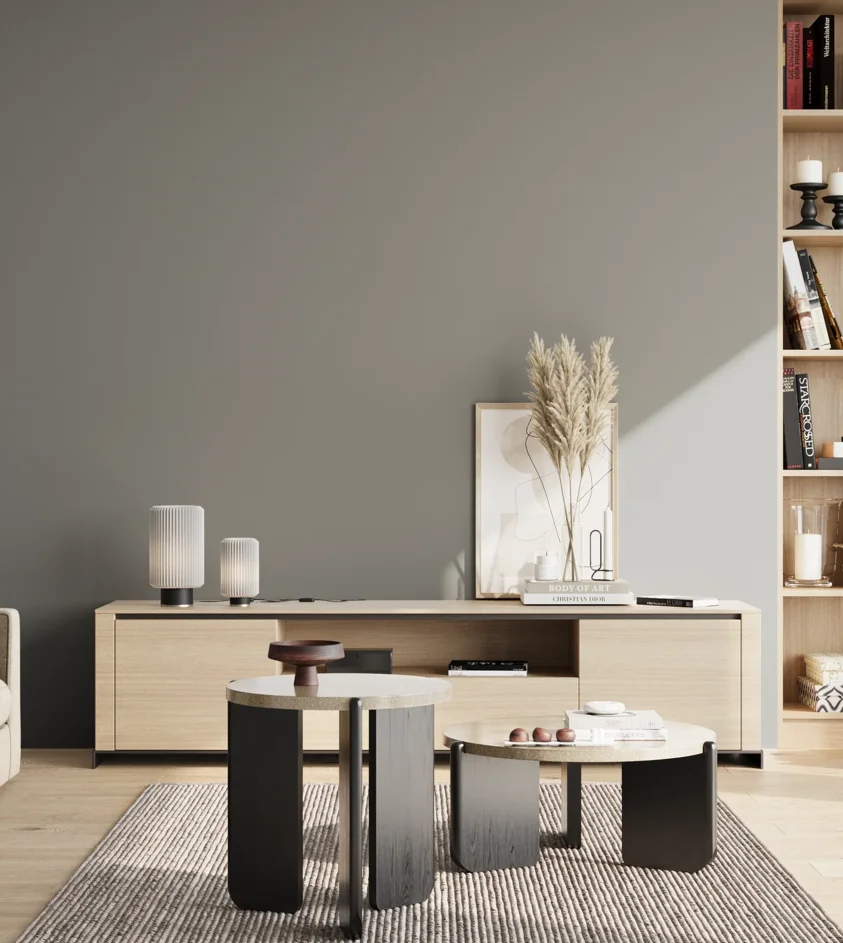 P10_SNIEZKA_salon_02_poludnie_GREY_S4502-G