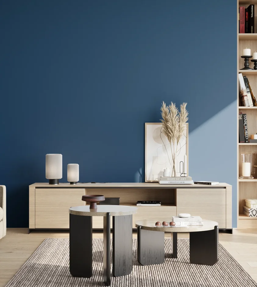 P10_SNIEZKA_salon_02_poludnie_GREY_S4550-R90B