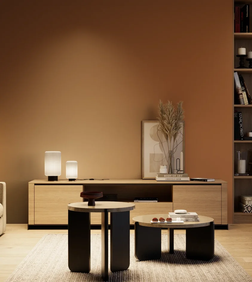 P10_SNIEZKA_salon_04_cieple_GREY_S4550-Y40R